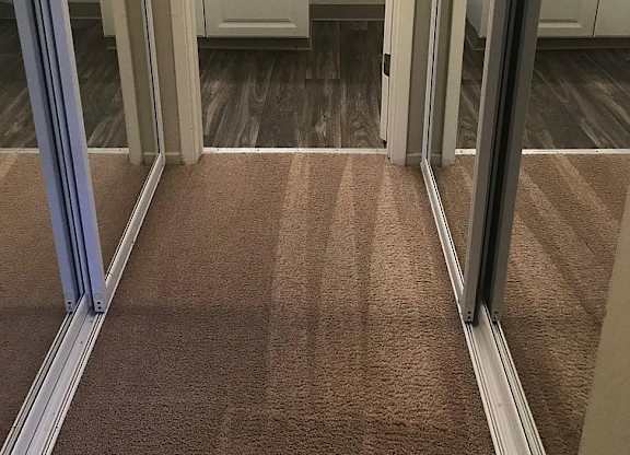 A bathroom with a brown carpet and a white sink.