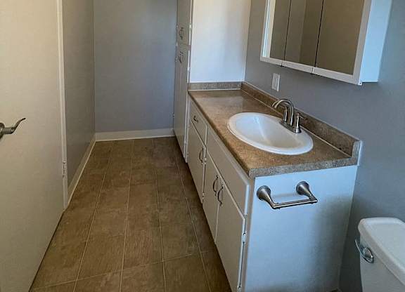 a bathroom with a sink and a mirror and a toilet