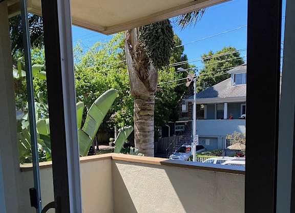 a view of a balcony with a palm tree