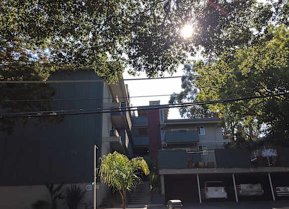 A tree in front of a building with a car parked in the driveway.