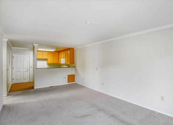 A room with a white wall and a carpeted floor.
