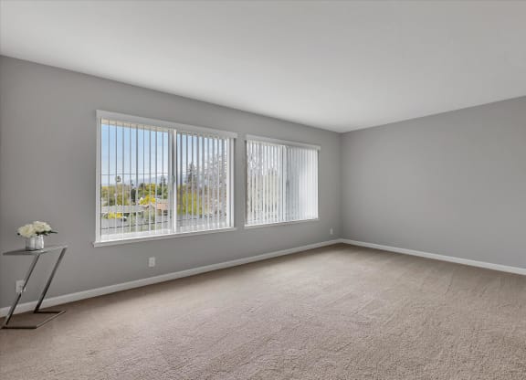 Large living room with large windows