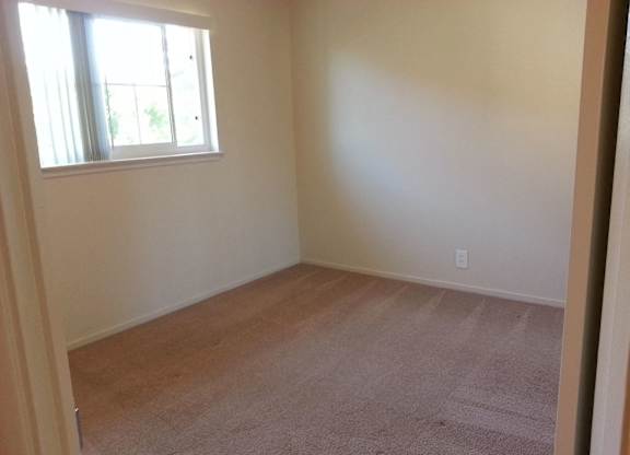 A room with a carpeted floor and a window letting in sunlight.
