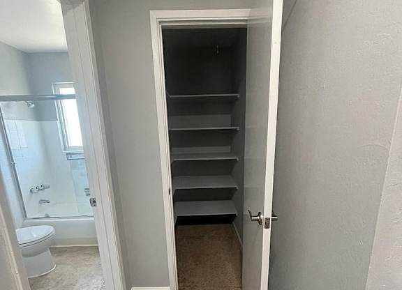 a bathroom with a closet and a toilet in it