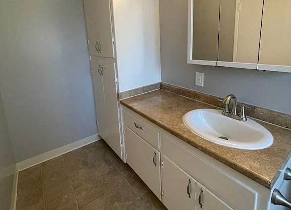 a bathroom with a sink and a mirror