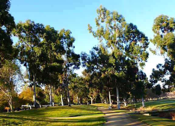 A park with a pathway and trees.