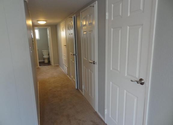 A hallway with white doors and carpeted floor.
