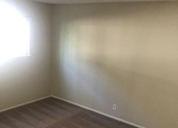 A room with a carpeted floor and a window letting in sunlight.