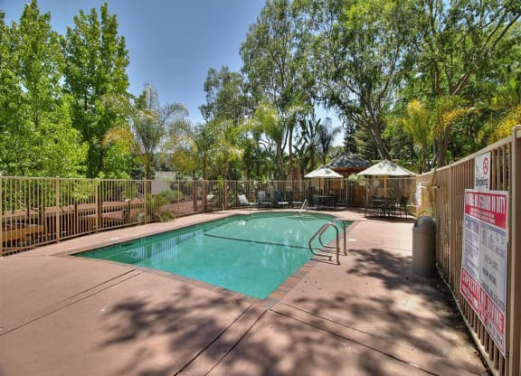 Invigorating Swimming Pool at Maison Massol, Los Gatos, CA
