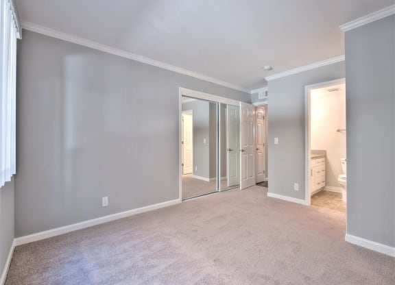 A spacious room with grey walls and a carpeted floor.