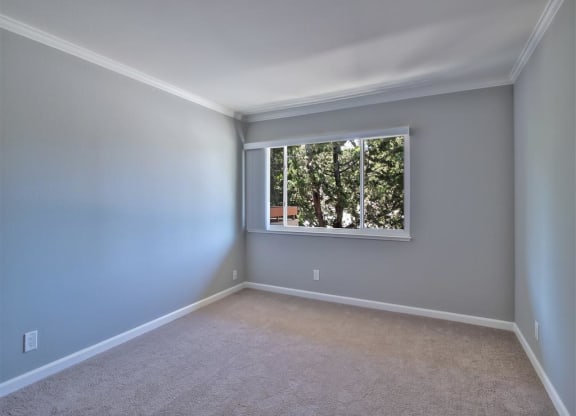 A room with a window showing trees outside.