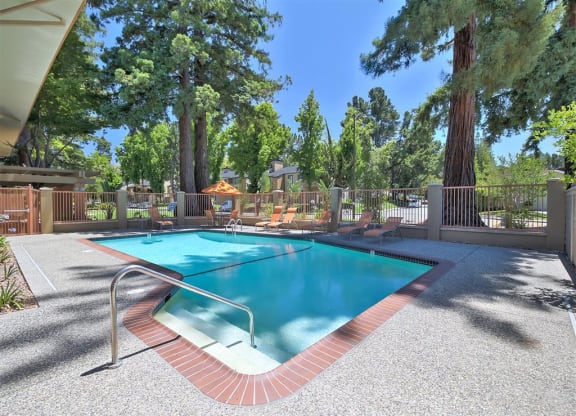 A swimming pool surrounded by a fence and trees.