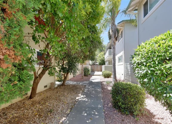 A tree-lined pathway in a residential area.
