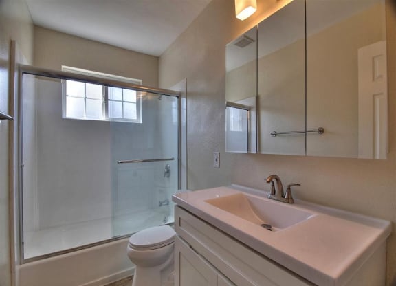 a bathroom with a sink and a shower and a toilet
