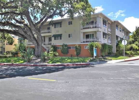 A large tree is in front of a two-story apartment building.