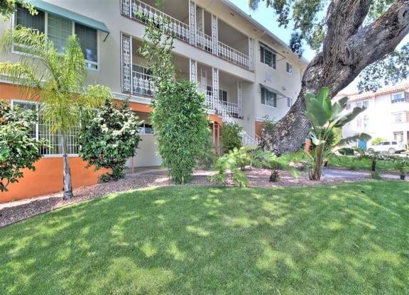 A tree in a grassy area in front of a building.