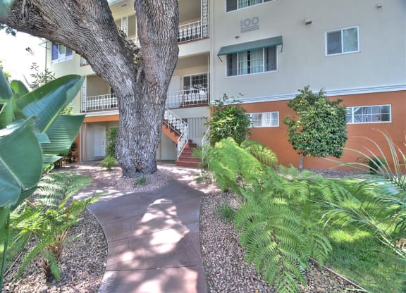 A tree in a courtyard of a building with the word