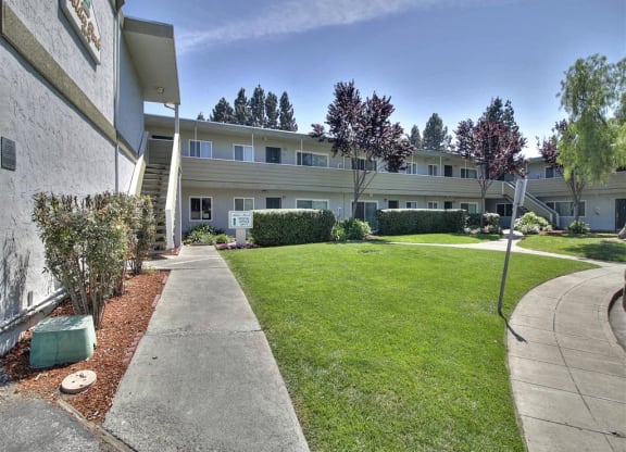 A sunny day at a residential complex with a well-maintained lawn and apartment buildings.