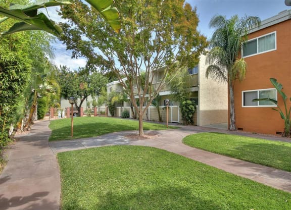 A tree in a grassy area in front of a building.