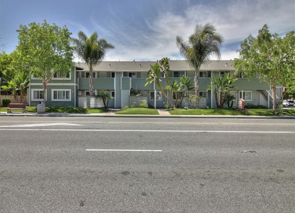 A street view of a building with a green facade and trees in front.