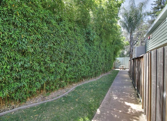 A long green hedge runs along the side of a building.