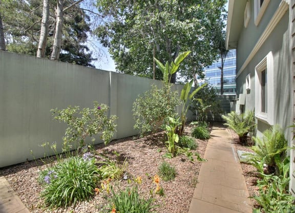 A garden with a variety of plants and a concrete pathway.