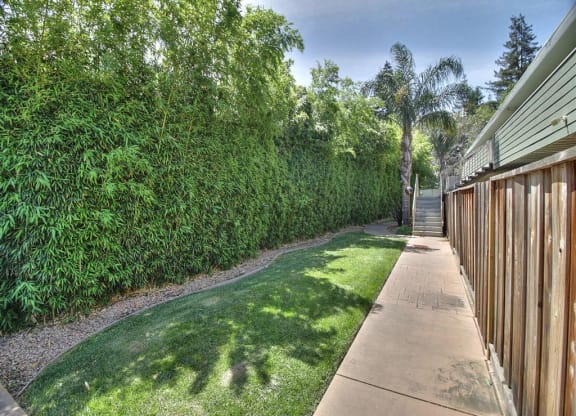 A green hedge runs along the side of a concrete path.