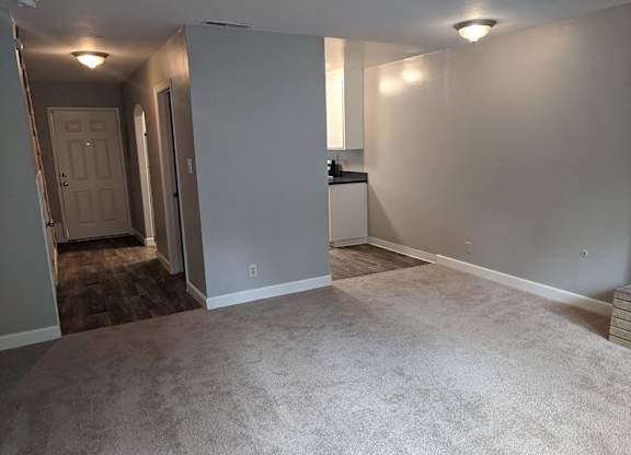 A room with a carpeted floor and a white door.