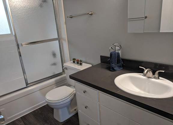 A bathroom with a toilet, sink, and shower.