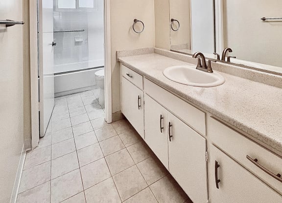 a bathroom with a sink and a mirror and a shower