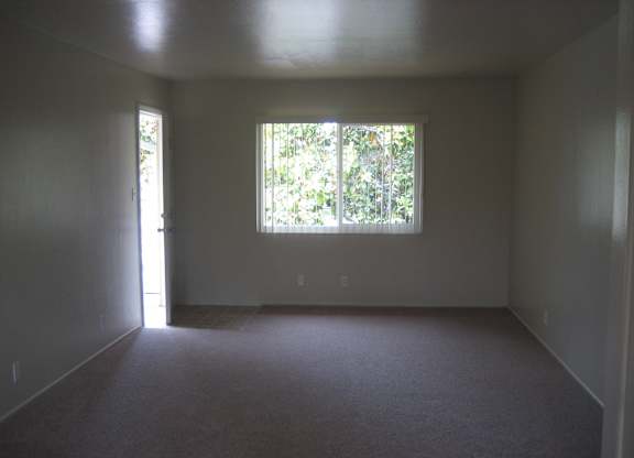 A room with a carpeted floor and a window letting in light.