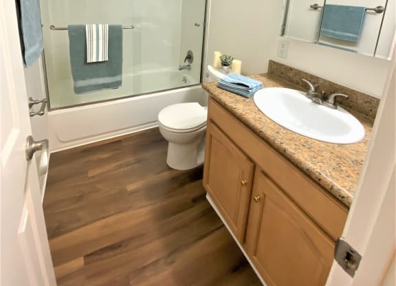 a bathroom with a sink and a shower and a toilet