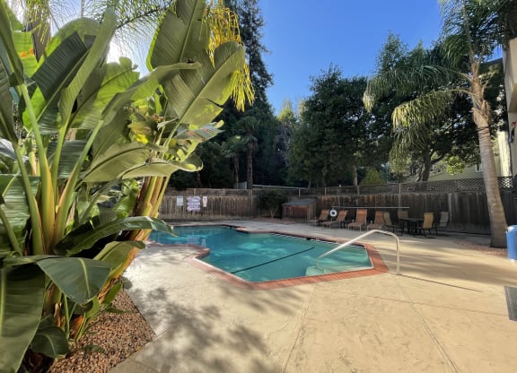 Pool at Ambassador