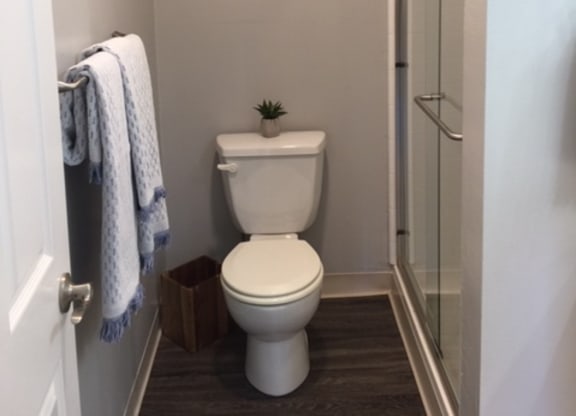 guest bath