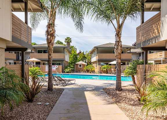 A pool surrounded by palm trees and a concrete walkway.