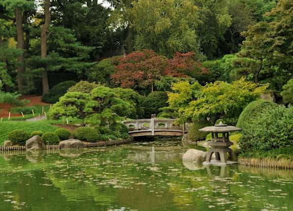 a garden with a pond and a bridge