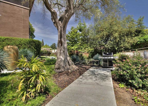 Outdoor plants and trees at The Luxe, California