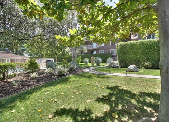 Lawn and Hedges at The Luxe, Santa Clara, 95051