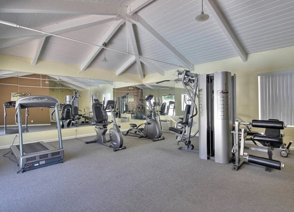 Workout at The Luxe, Santa Clara, California