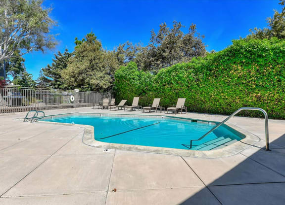 Shimmering Pool at The Luxe, Santa Clara, 95051