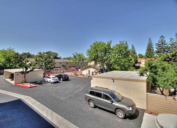 View From Balcony at Pines, California