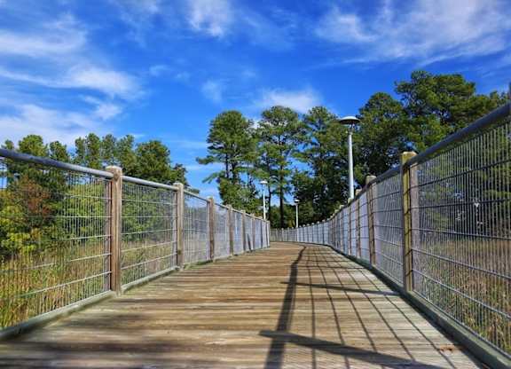 A wooden boardwalk with metal railings leads through a natural landscape.