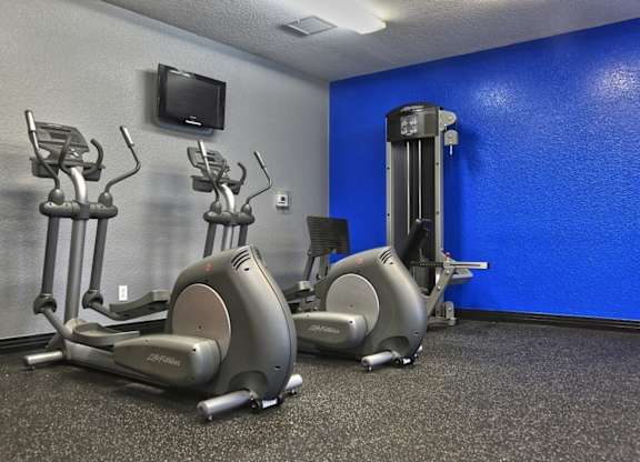 A gym with a blue wall and a row of exercise bikes.