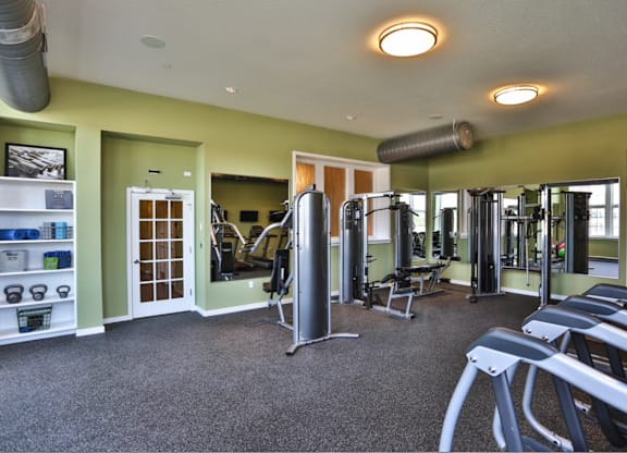A gym with treadmills, weights, and other equipment.
