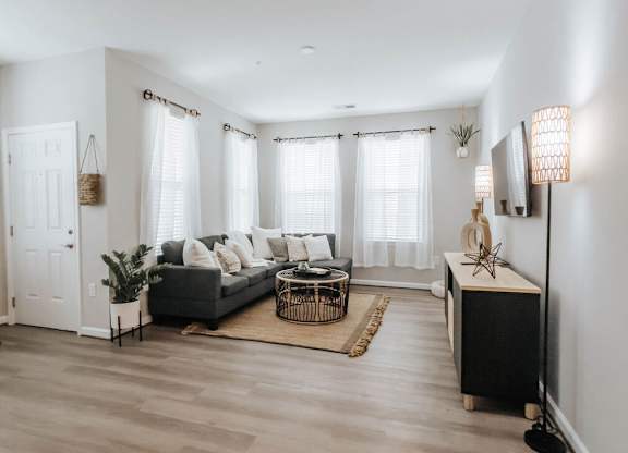 A living room with a grey couch, a coffee table, a TV, and a plant.