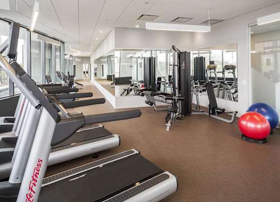 A gym with treadmills, weights, and exercise balls.