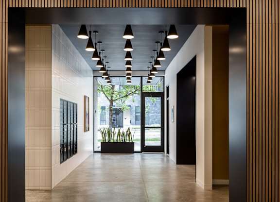 A hallway with a plant in the middle and a tree outside the window.