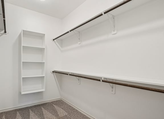 A white closet with a shelf and a carpet.
