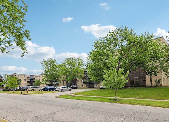 A tree with green leaves stands in front of a building.