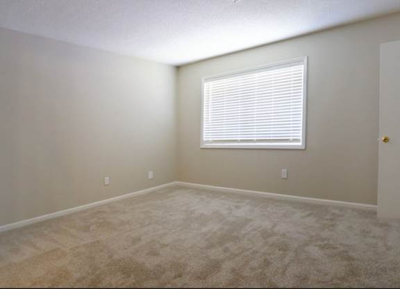 A room with a carpeted floor and a window with blinds.